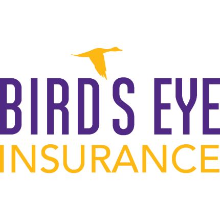 Logo fra Bird's Eye Insurance