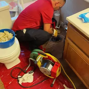 Power Snake Toilet