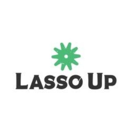 Logo fra Lasso Up