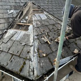 Bild von Kings Roofing