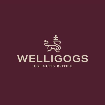 Logo from Welligogs Ltd