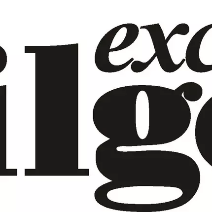 Logótipo de Bilger exclusiv GmbH & Co KG