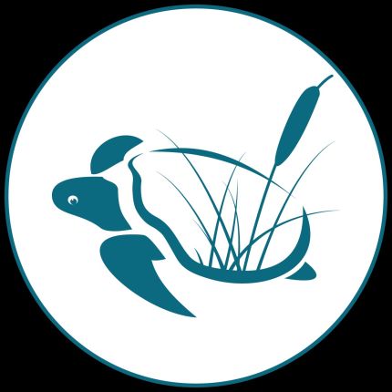 Logo da Turtle Swimming Ponds