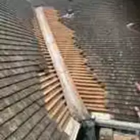 Bild von Right Cover Roofing Ltd