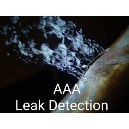 Logo da AAA Leak Detection