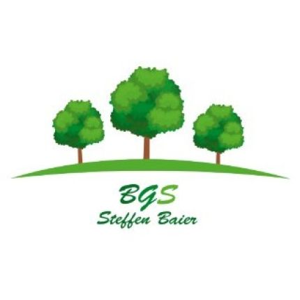 Logotyp från BGS Steffen Baier