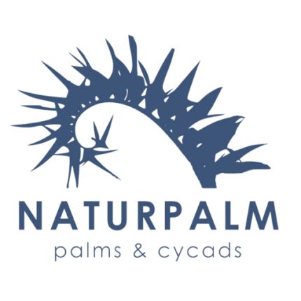 Logo od Naturpalm