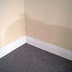 Bild von Tyne Tees Damp Proofing