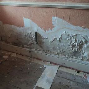 Bild von Tyne Tees Damp Proofing