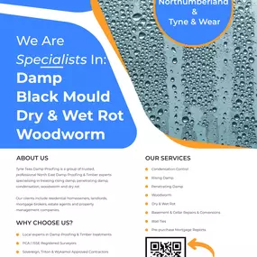 Bild von Tyne Tees Damp Proofing