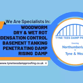 Bild von Tyne Tees Damp Proofing