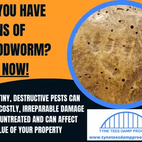 Bild von Tyne Tees Damp Proofing