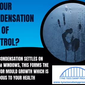 Bild von Tyne Tees Damp Proofing