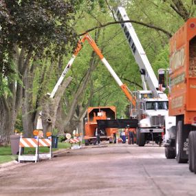 Homer Tree trucks and cranes performing tree removal service