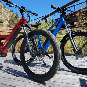 Bild von Blue Mountain E-Bikes