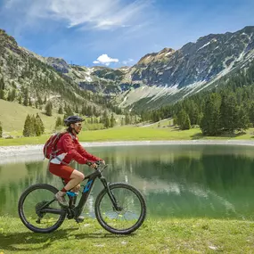 Bild von Blue Mountain E-Bikes