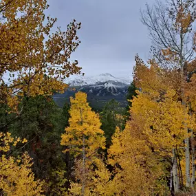 Bild von The Lodge at Breckenridge