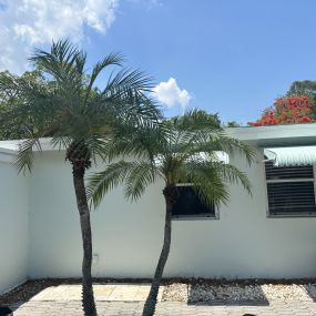 Bild von Green Earth Landscaping & Lawn Care - West Palm Beach