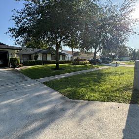 Bild von Green Earth Landscaping & Lawn Care - West Palm Beach