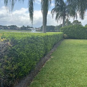 Bild von Green Earth Landscaping & Lawn Care - West Palm Beach