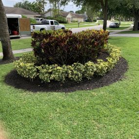 Bild von Green Earth Landscaping & Lawn Care - West Palm Beach