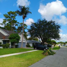 Bild von Green Earth Landscaping & Lawn Care - West Palm Beach