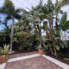 Bild von Green Earth Landscaping & Lawn Care - West Palm Beach