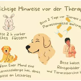 Bild von Tiergesundheit Andrea Bachem