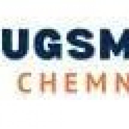 Logo from Umzugsmeister Eisenhower