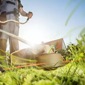 Bild von MHS Gartenbau Schaber