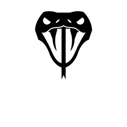 Logo from SnakeStore