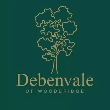 Logo de Debenvale