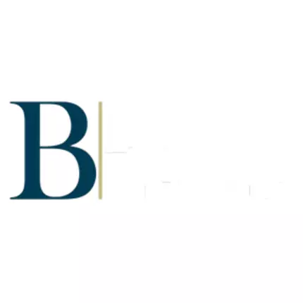 Logo from BLN LAW LLC