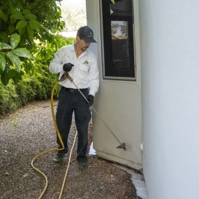 Termite Control