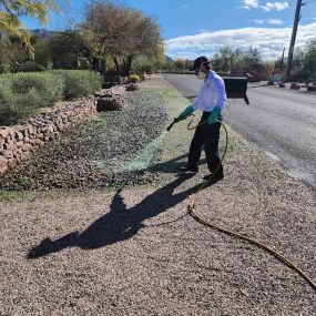 Pest Control Queen Creek