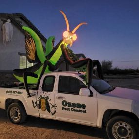 Pest Control Queen Creek