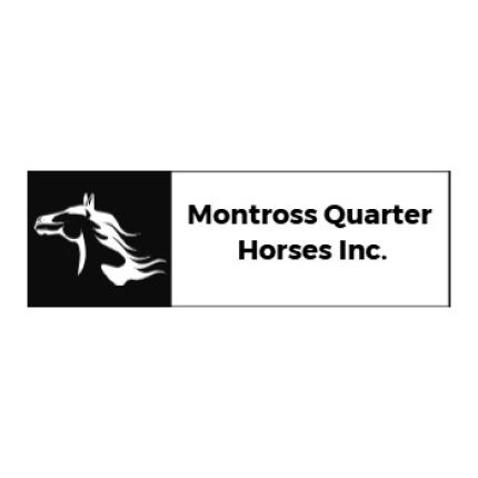 Logo de Montross Quarter Horses Inc.