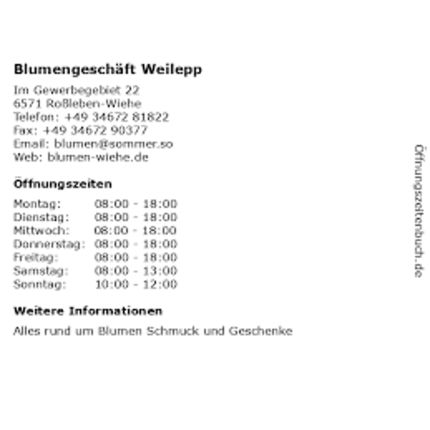 Logótipo de Blumengeschäft Weilepp