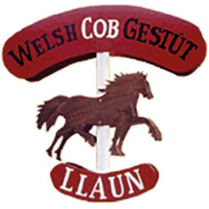 Logotyp från Welsh Cob Gestüt Llaun - Reiterhof