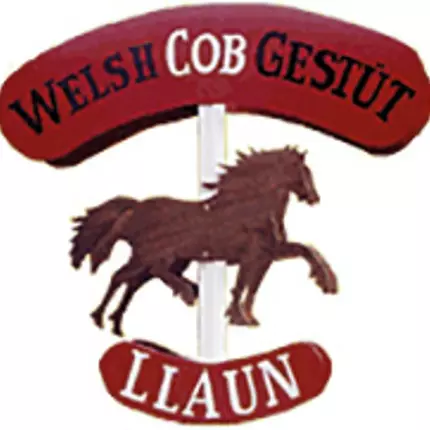 Logo von Welsh Cob Gestüt Llaun - Reiterhof