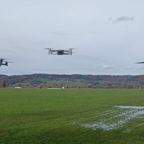 Bild von MJSV - die Bausachverständigen