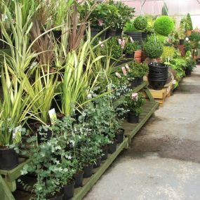 Bild von Greenside Garden Centre Ltd