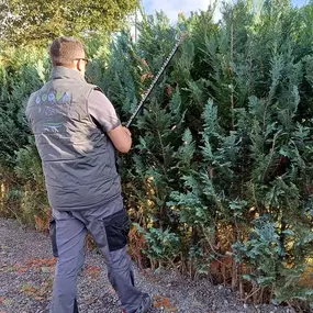 Hausbetreuung PK in Mieders