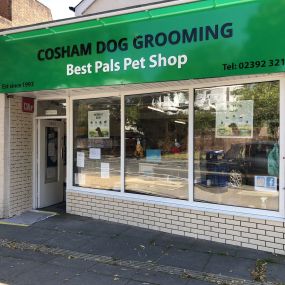 Bild von Cosham Dog Grooming Ltd