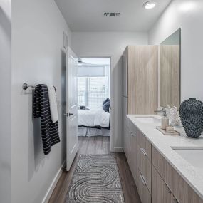 a bathroom with a sink and a mirror