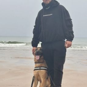 Bild von J & N K9 Training