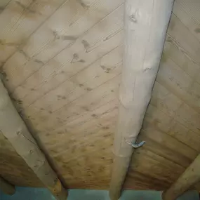 Euro Restorations | Painting | Drywall | Water Damage | Resurfacing