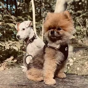 INTER Versicherung Peter Faden