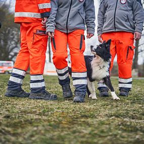 Die Rettungshundestaffeln in Niedersachsen und Bremen sind 365 Tage im Jahr einsatzbereit.