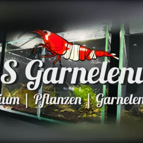 Bild von R&S Garnelenwelt Online Shop